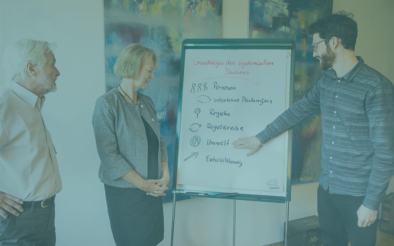 Systemische Organisationsberatung