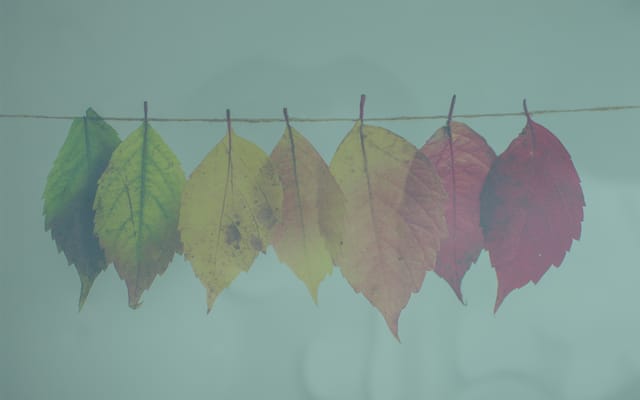 Systemisches Change-Management